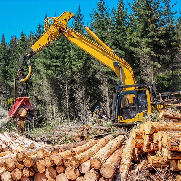 Forestry & Logging